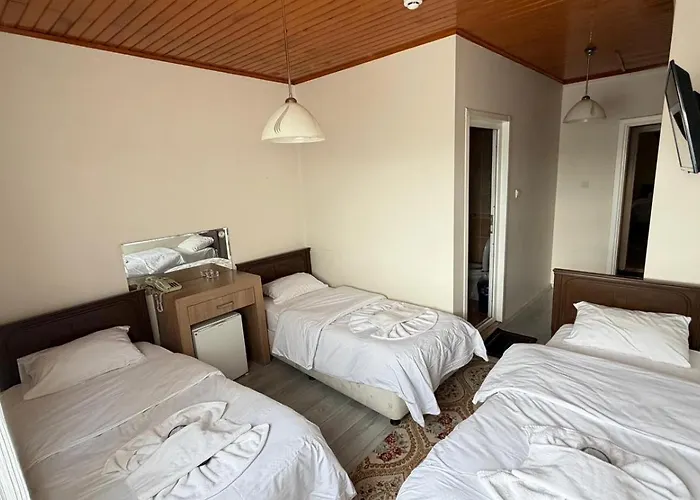 Efendi 2* איסטמבול