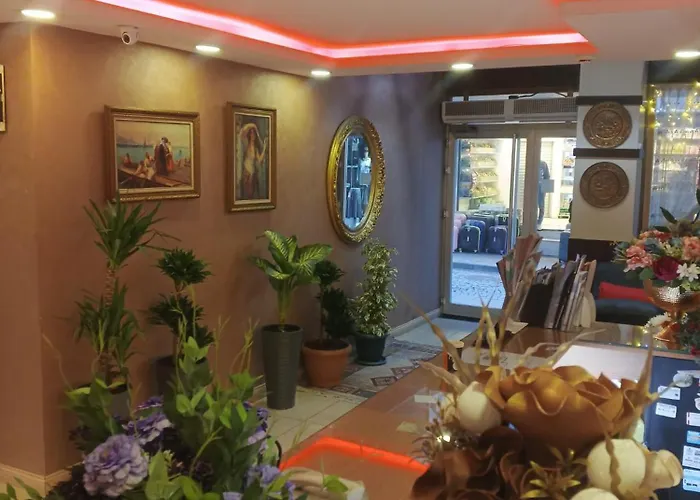 Efendi 酒店 伊斯坦布尔